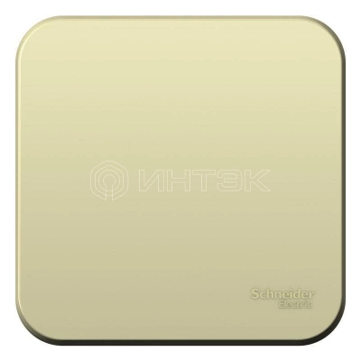 Выключатель 1-кл. ОП Blanca 10А IP20 (сх. 1) 250В с изолир. пластиной беж. Systeme Electric BLNVA101017 изображение, фото