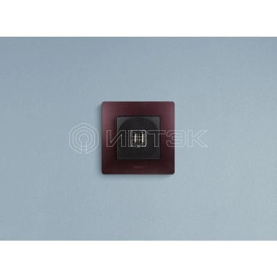 Розетка USB 2-м СП 2мод. Etika 240В/5В 2400мА механизм антрацит IEK 672694 изображение, фото