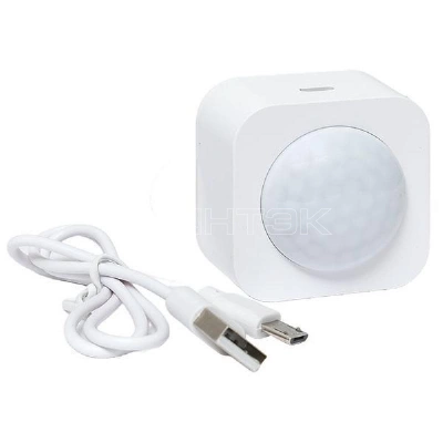 Датчик движения умный Zigbee Connect EKF is-pir-zb-1 изображение, фото