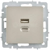 Розетка СП BRITE РЮ11-2-БрШ USB A+C 45Вт высокоскор. заряд. шампань IEK BR-U22-045-K37 изображение, фото