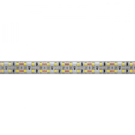 Лента светодиодная 14 464 NLS-2835CW240-30-IP65-12V (уп.5м) NAVIGATOR 14464 изображение, фото