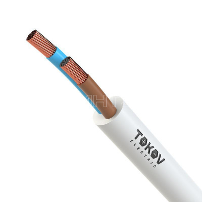 Провод TOKOV ELECTRIC ПВСнг(А)-LS 2х0.75 380В Б (уп.100м) 69163 изображение, фото