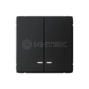 Выключатель 2-кл. ArtGallery (сх. 5а) 10AX с подсветкой механизм карбон Systeme Electric GAL001053 изображение, фото