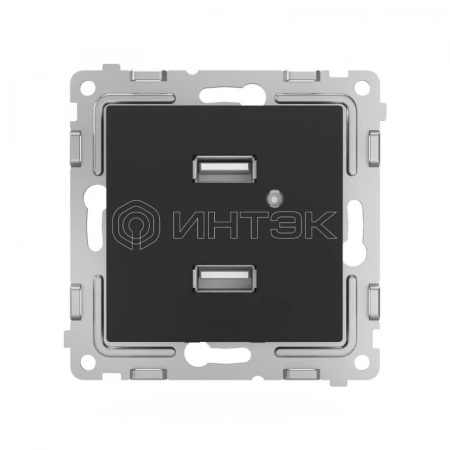 Розетка 2-м USB СП Pixel тип A+A 5В 1х2.1А 2х1.05А механизм карбон TOKOV ELECTRIC TKE-PX-2USB-C14 изображение, фото