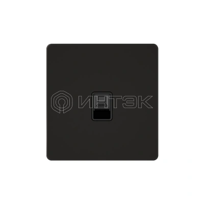 Розетка информационная 1-м СП Systeme Infinity RJ45 кат.5E IP20 полярная ночь Systeme Electric FSE001083 изображение, фото