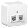 Розетка компьютерная + телефонная 2-м ОП Blanca RJ45 кат.5E + RJ11 с изолир. пластиной бел. Systeme Electric BLNIA045111 изображение, фото