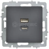 Розетка СП BRITE РЮ11-2-БрГ USB A+C 45Вт высокоскор. заряд. графит IEK BR-U22-045-K53 изображение, фото