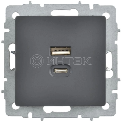 Розетка СП BRITE РЮ11-2-БрГ USB A+C 45Вт высокоскор. заряд. графит IEK BR-U22-045-K53 изображение, фото