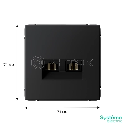 Розетка компьютерная 2-м ArtGallery 2хRJ45 кат.6A механизм карбон Systeme Electric GAL001088 изображение, фото