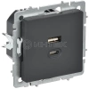 Розетка СП BRITE РЮ11-2-БрГ USB A+C 45Вт высокоскор. заряд. графит IEK BR-U22-045-K53 изображение, фото