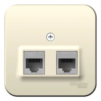 Розетка компьютерная 2-м ОП Blanca RJ45 кат.5E с изолир. пластиной молочн. Systeme Electric BLNIA045452 изображение, фото