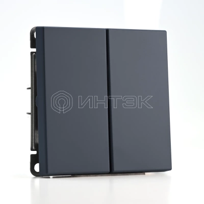 Выключатель 2-кл. ArtGallery (сх. 5) 10AX механизм грифель Systeme Electric GAL000751 изображение, фото