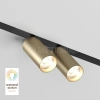 Светильник SMART SPOT DOUBLE 2х9Вт 3000К-6000К DIM акцентный матов. зол. с черн. DENKIRS 694294 изображение, фото