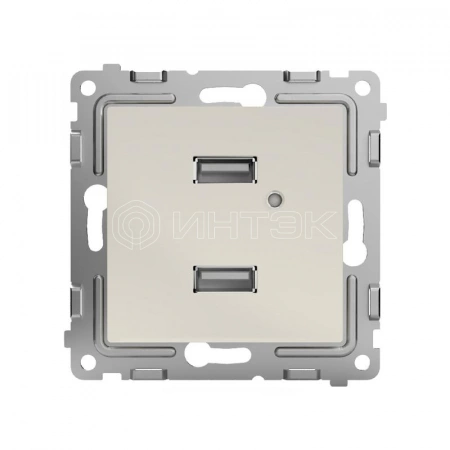 Розетка 2-м USB СП Pixel тип A+A 5В 1х2.1А 2х1.05А механизм беж. TOKOV ELECTRIC TKE-PX-2USB-C02 изображение, фото