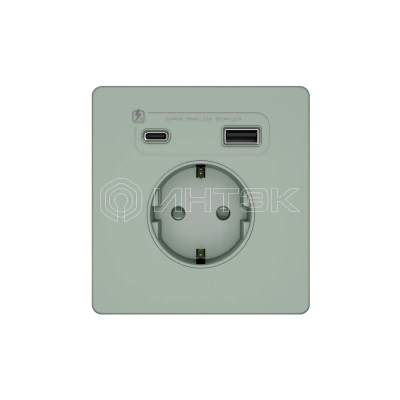 Розетка 1-м СП Systeme Infinity 16А IP20 250В с заземл. и заряд. устр. USB А+С 20Вт защ. шторки таежное утро Systeme Electric FSE000832 изображение, фото