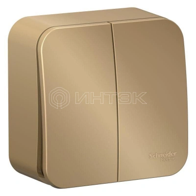 Выключатель 2-кл. ОП Blanca 10А IP20 (сх. 5) 250В с изолир. пластиной титан Systeme Electric BLNVA105014 изображение, фото