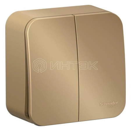 Выключатель 2-кл. ОП Blanca 10А IP20 (сх. 5) 250В с изолир. пластиной титан Systeme Electric BLNVA105014 изображение, фото