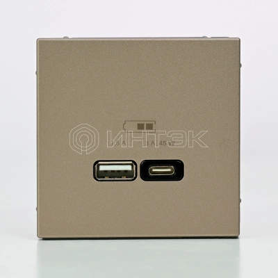 Розетка USB ArtGallery тип A+C 45Вт QC PD высокоскор. ЗУ механизм шампань Systeme Electric GAL000529 изображение, фото
