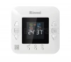 Настенный газовый котел Rinnai BR-R42 + WiFi изображение, фото