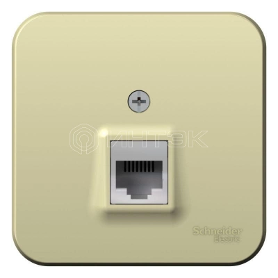 Розетка компьютерная 1-м ОП Blanca RJ45 кат.5E с изолир. пластиной беж. Systeme Electric BLNIA045007 изображение, фото