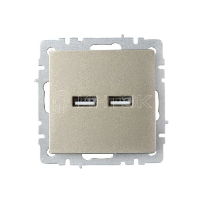 Розетка BRITE USB A+A 3.1А РЮ10-1-БрШ механизм шампань IEK BR-U21-D31-K37 изображение, фото