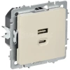 Розетка СП BRITE РЮ11-2-БрКр USB A+C 45Вт высокоскор. заряд. беж. IEK BR-U22-045-K10 изображение, фото