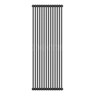 Дизайн-радиатор Royal Thermo Insignia C2180 - 14 секц. RAL9005m изображение, фото