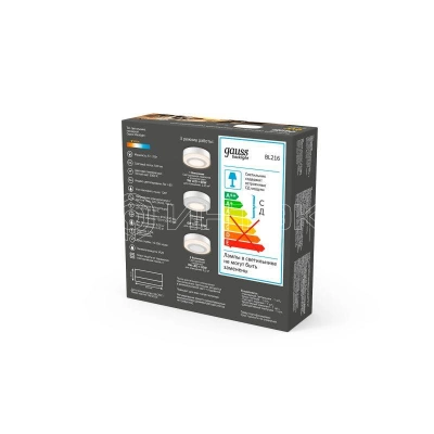 Светильник светодиодный Backlight 6+3Вт 3000К d145 накладной BL216 круг акрил GAUSS BL216 изображение, фото