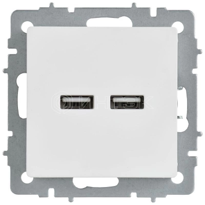 Розетка BRITE РЮ10-1-БрАБ USB A+A 3.1А механизм арктич. бел. IEK BR-U21-D31-K91 изображение, фото